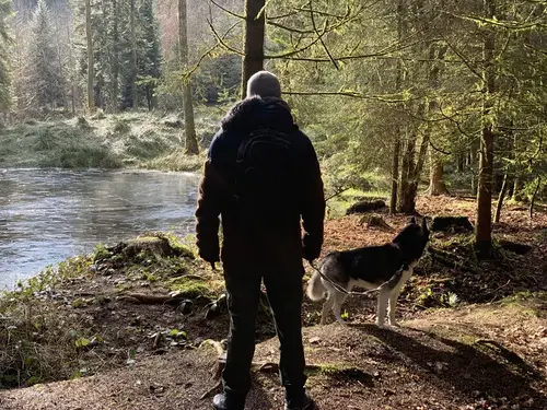 Hundesitter mit Husky im Wald am Fluss – PAWZ Bern